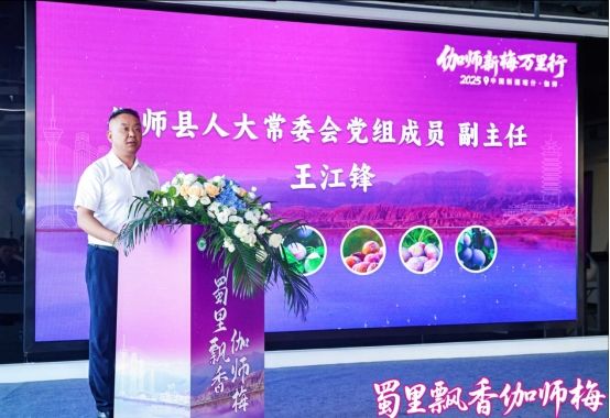 股票配资策略 2025中国新疆喀什·伽师新梅万里行走进成都