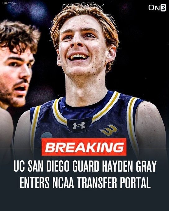 炒股股票配资网站 本季效力凯尔特人G联赛球队！Shams：爵士与海登·格雷签两年合同